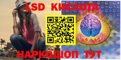 гидропоника Новозыбков