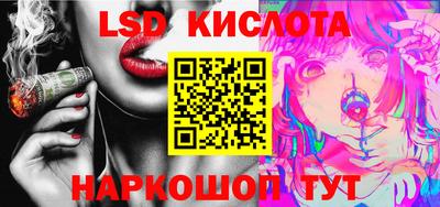 гидропоника Новозыбков