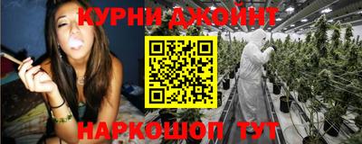 гидропоника Новозыбков