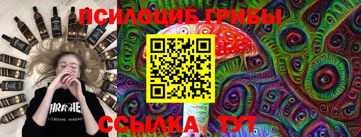 Северобайкальск  Псилоцибиновые грибы Psilocybine cubensis  наркотики  Вход с VPN 