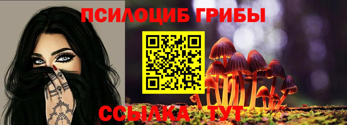 Псилоцибиновые грибы мицелий Северобайкальск